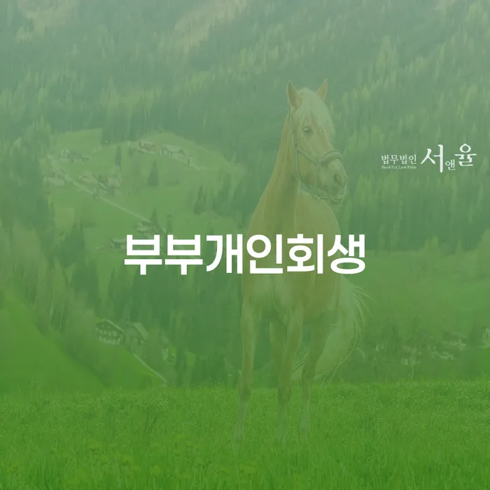 무서류모바일대출 연체 시 대출 받은 돈채무조정 핵심요약