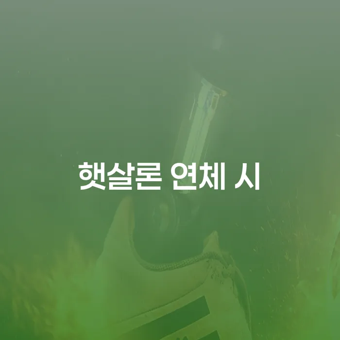 보증서대출 연체 시 대출 연체 개인회생 해결하기