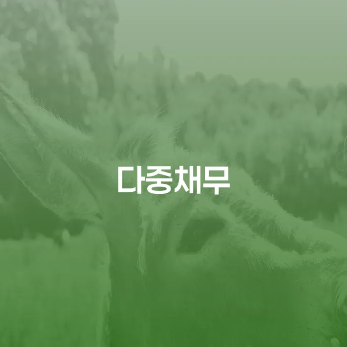 개인파산전문변호사 개인파산 검토하여