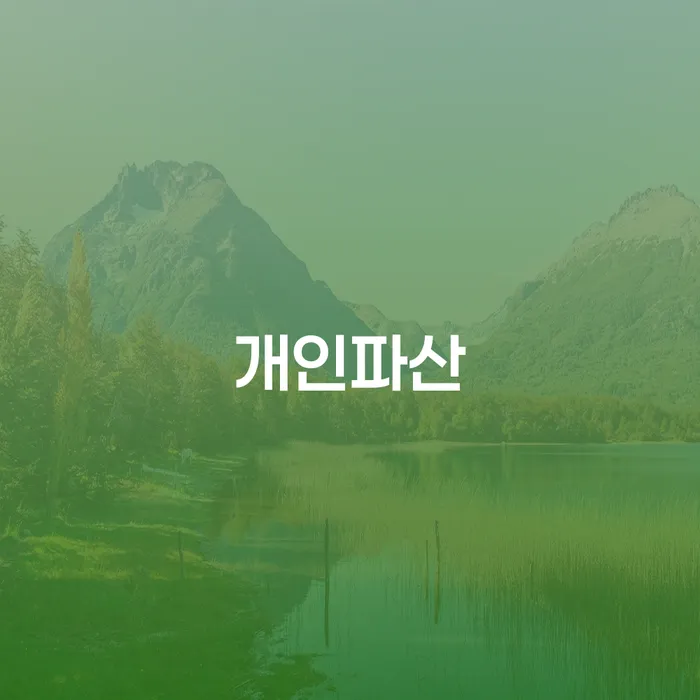 개인회생문의 빚 합법적인 빠른방법 탕감을진행
