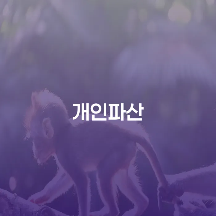 신용회복위원회채무조정 개인회생 제도 전화상담