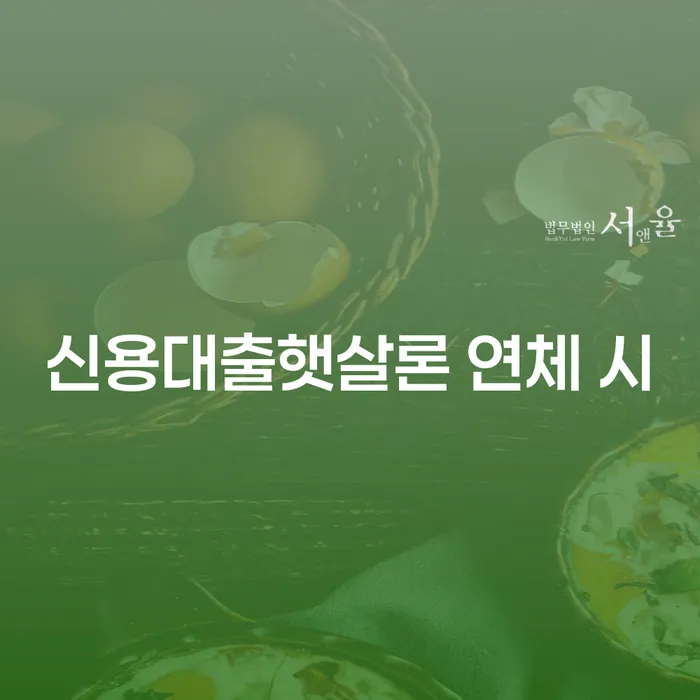 간이과세자대출 연체 시 채무 효과적인 해결방법 체크리스트