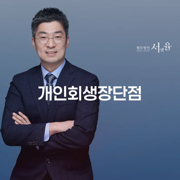 보험설계사개인회생 대출 받은 돈채무조정 선택의 조건
