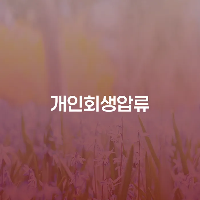 고령군 사채이자가 감당이 안될 때 개인회생 처리방법 수임료가 얼마인지?
