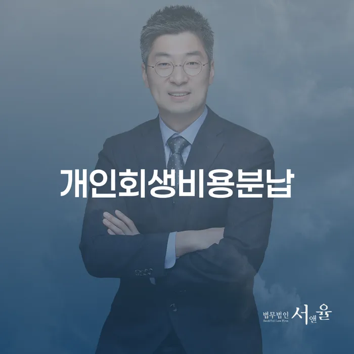 강남구 채무자회생법 채무 효과적인 해결방법 적정한