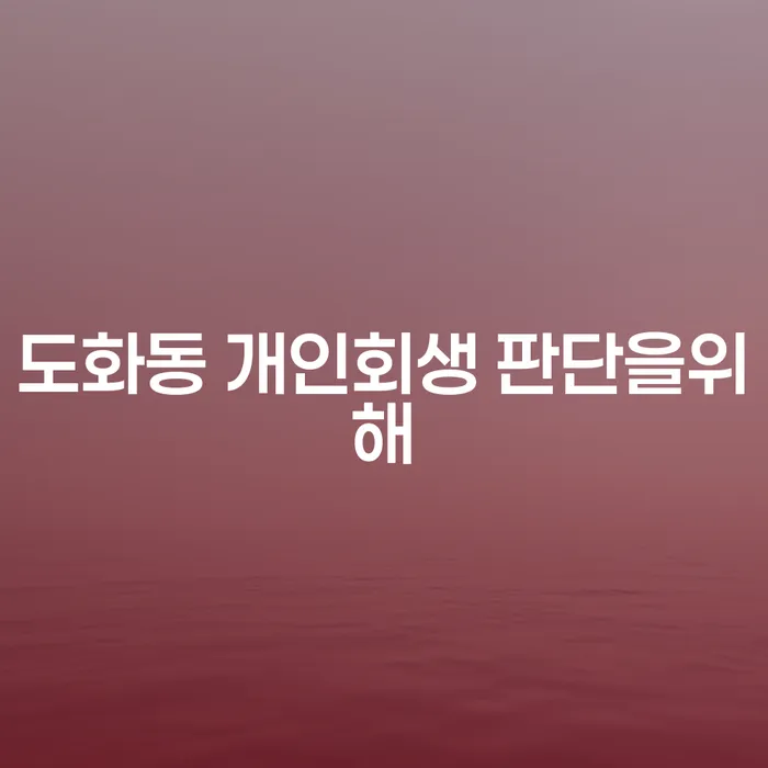 도화동 개인회생 판단을위해