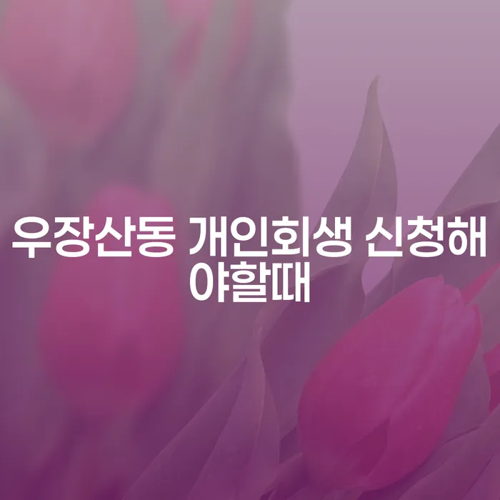 우장산동 개인회생 신청해야할때