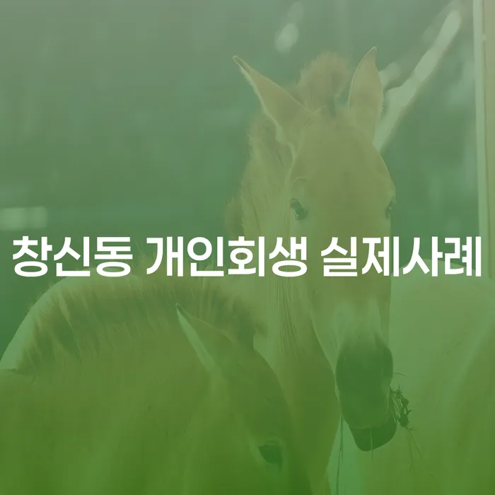창신동 개인회생 실제사례