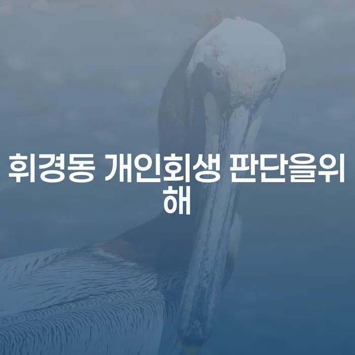 휘경동 개인회생 판단을위해