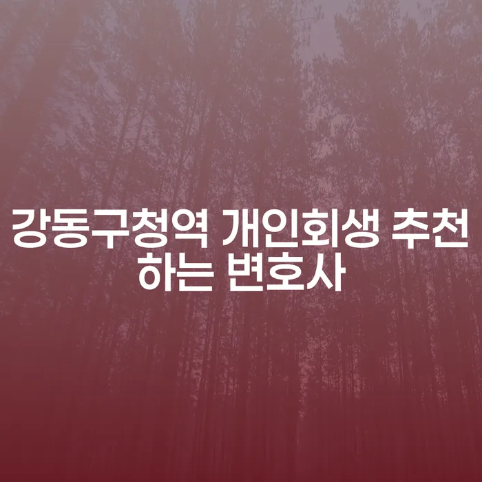강동구청역 개인회생 추천하는 변호사