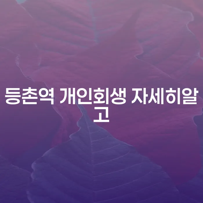 등촌역 개인회생 자세히알고