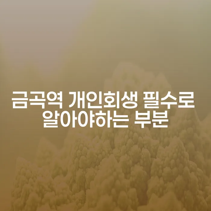 금곡역 개인회생 필수로 알아야하는 부분