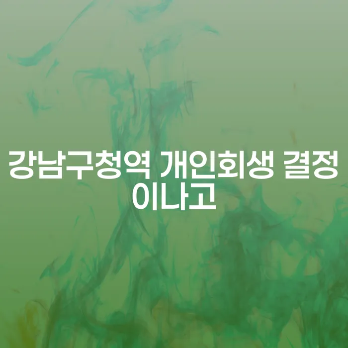 강남구청역 개인회생 결정이나고