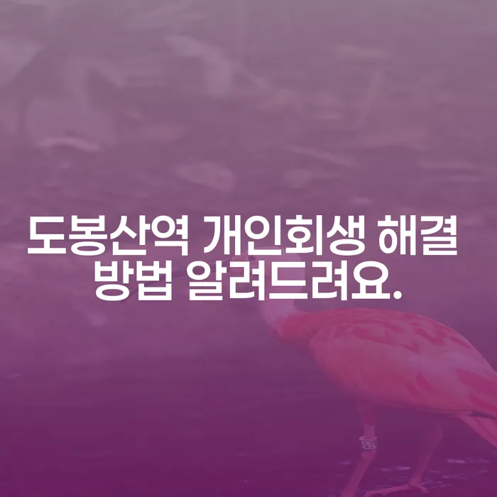 도봉산역 개인회생 해결 방법 알려드려요.