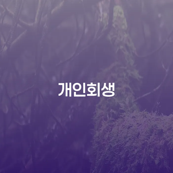 다산동 개인회생 절차와 성공 사례