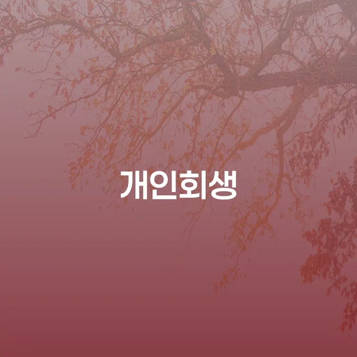 서귀포시 개인회생, 정말 가능한 선택일까?